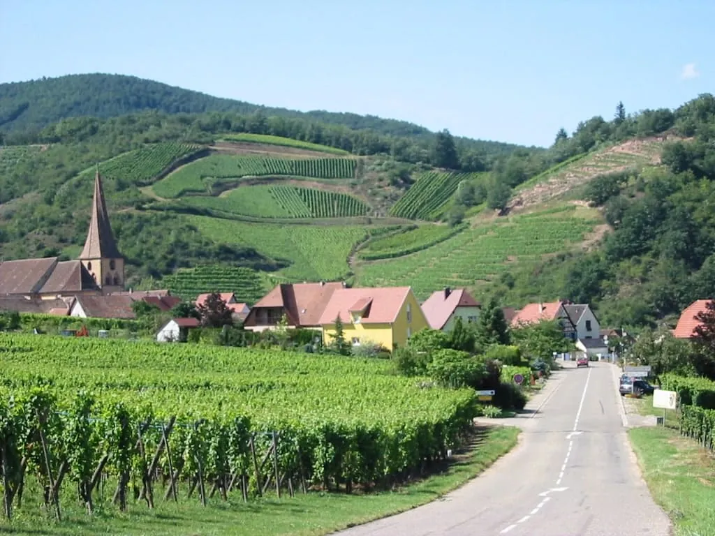La route des vins alsaciens