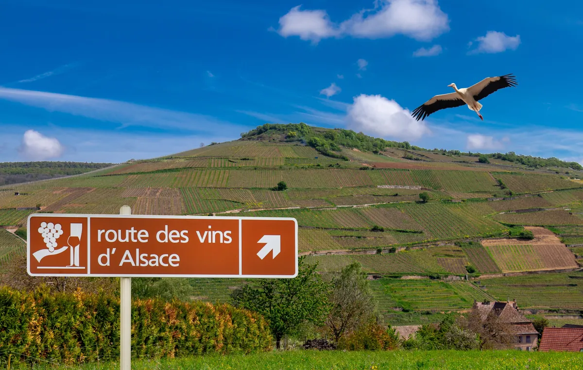 Route des Vins d'Alsace