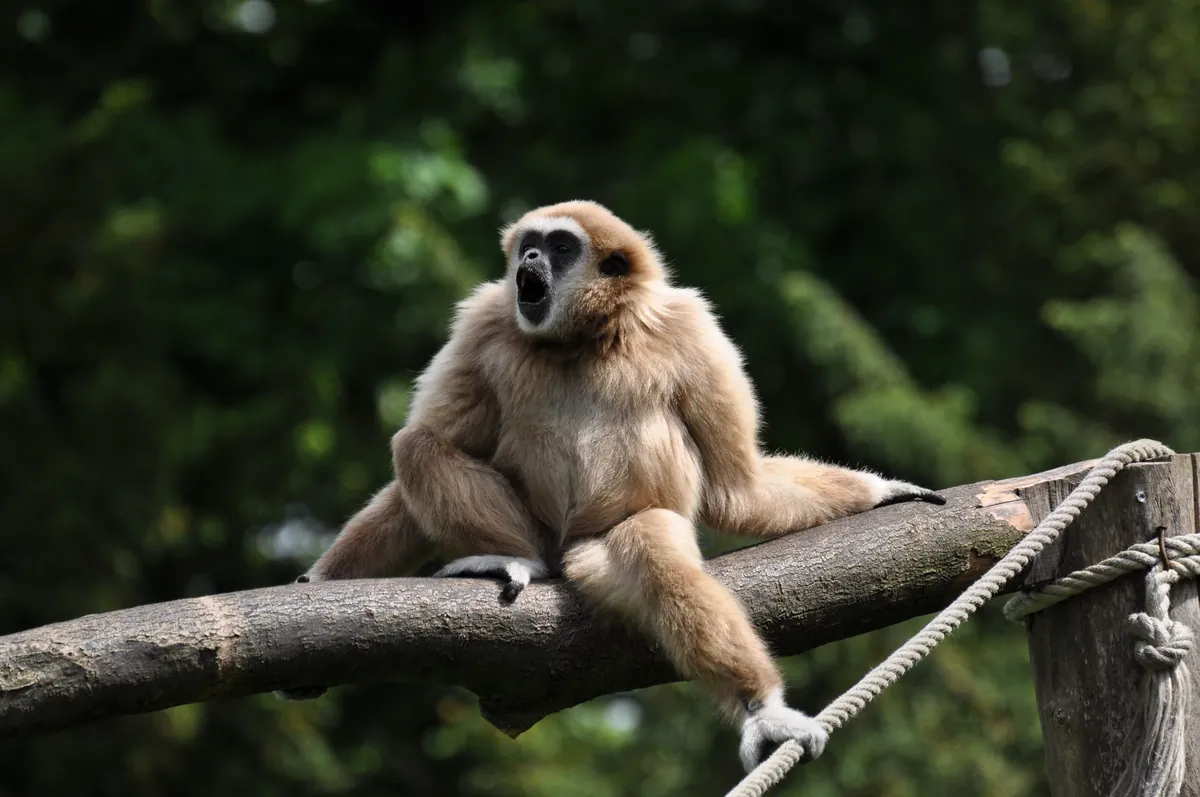 le zoo d’Amiens