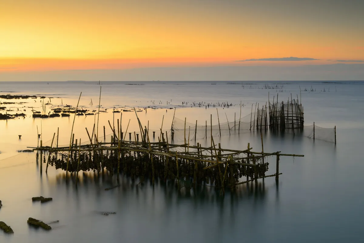 Huîtres arcachon