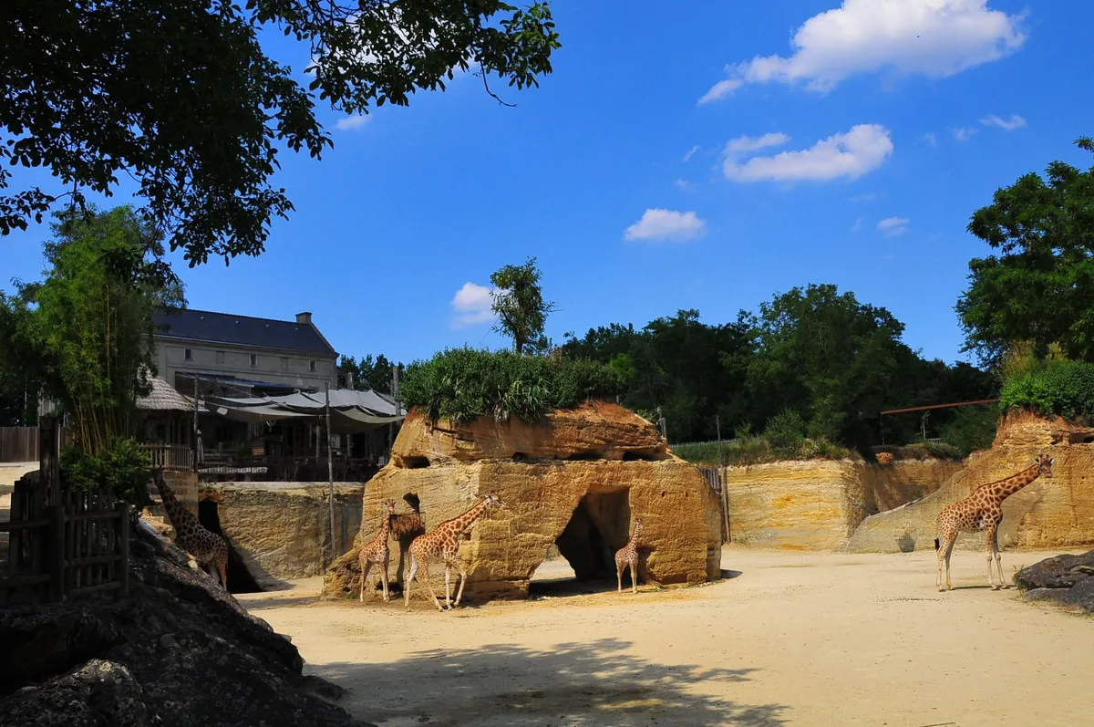 Bioparc Zoo de Doué la Fontaine