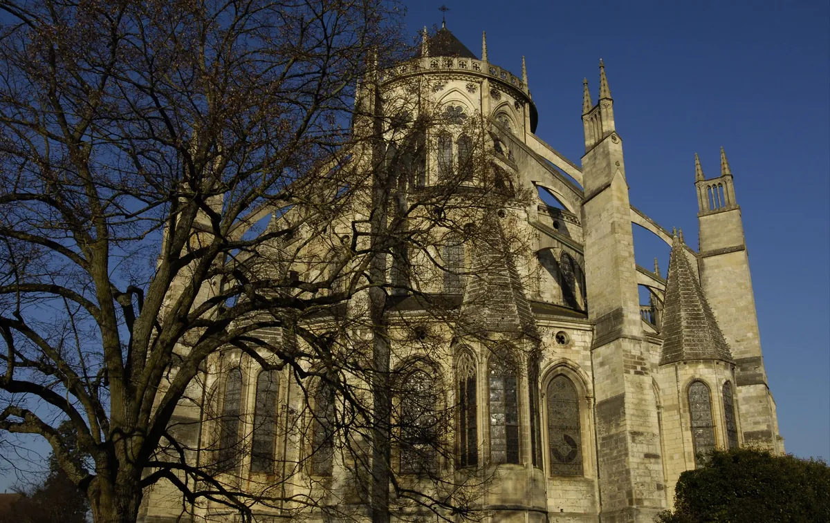 La cathédrale Saint-Etienne