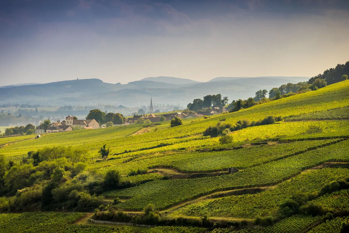 La nature en Bourgogne