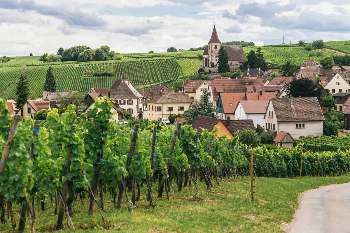 Route des Vins de Bourgogne
