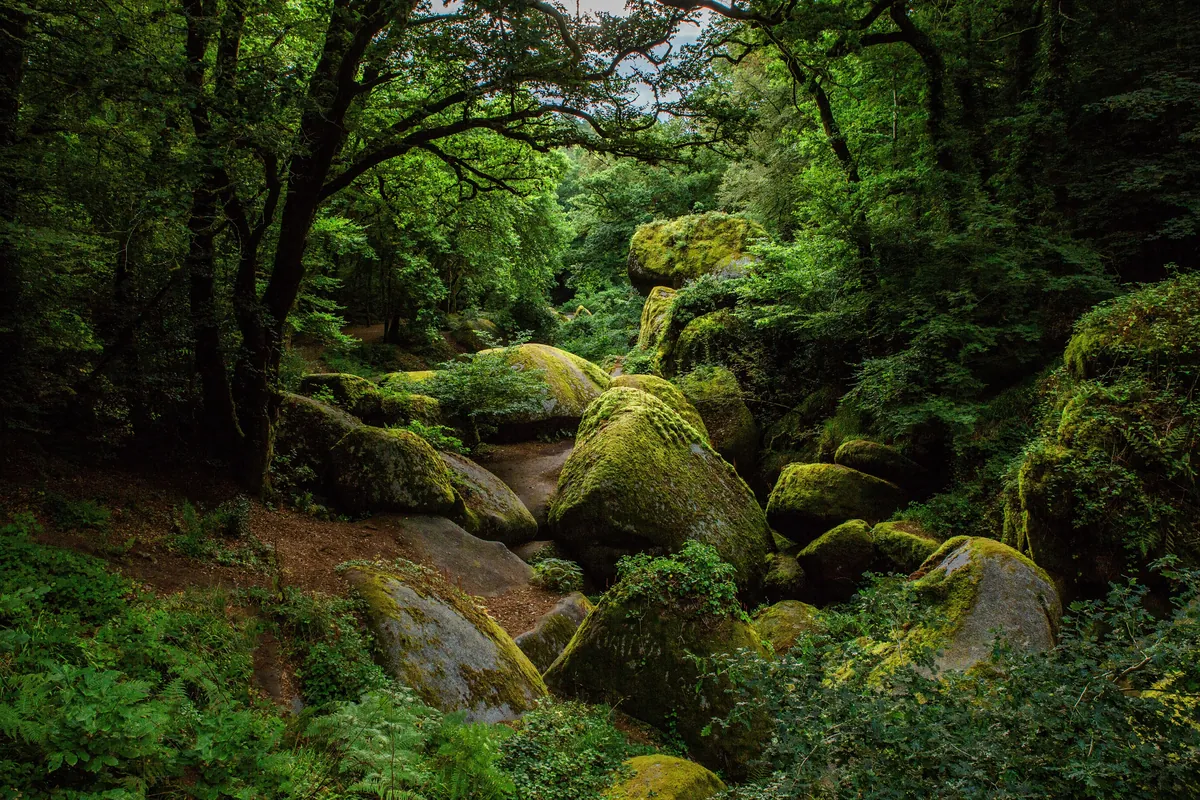 Forêt de Huelgoat