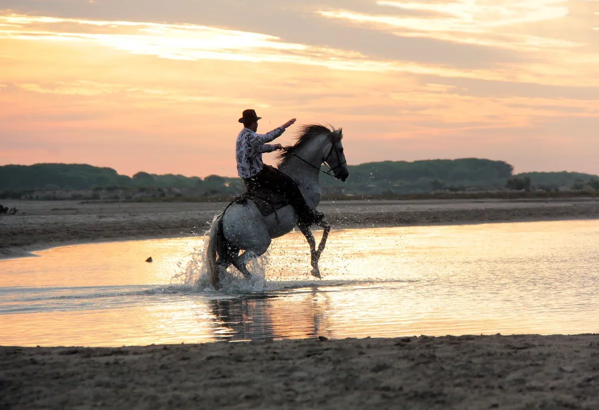 Balade à Cheval Camargue
