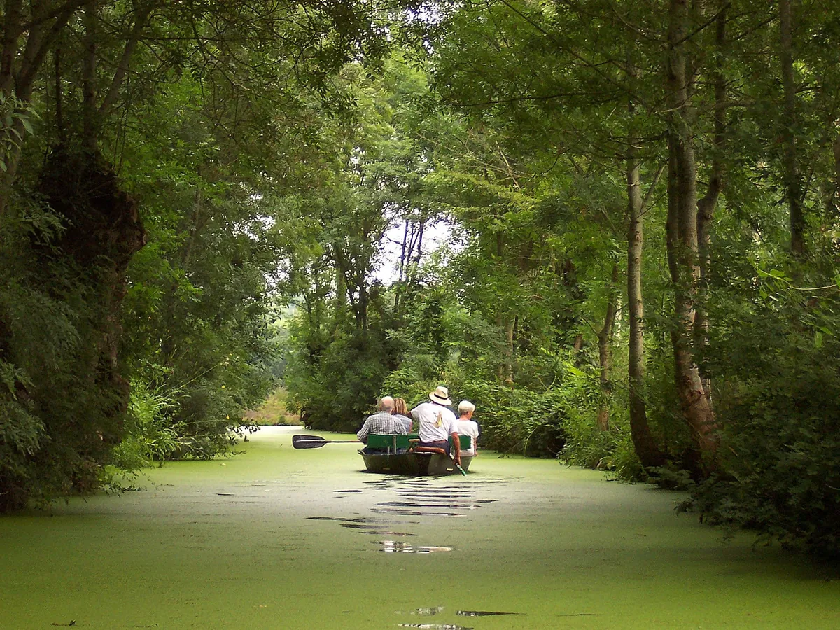 Le marais poitevin