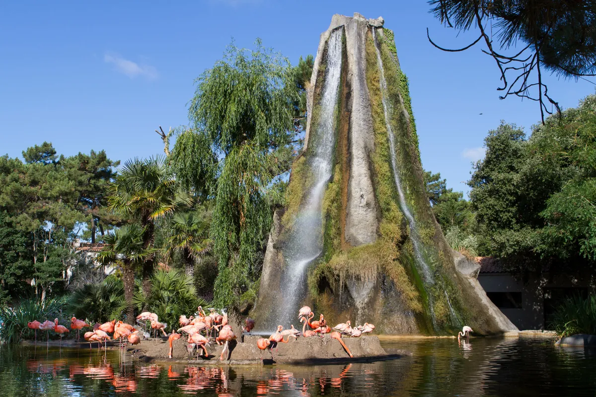 Le zoo de La Palmyre