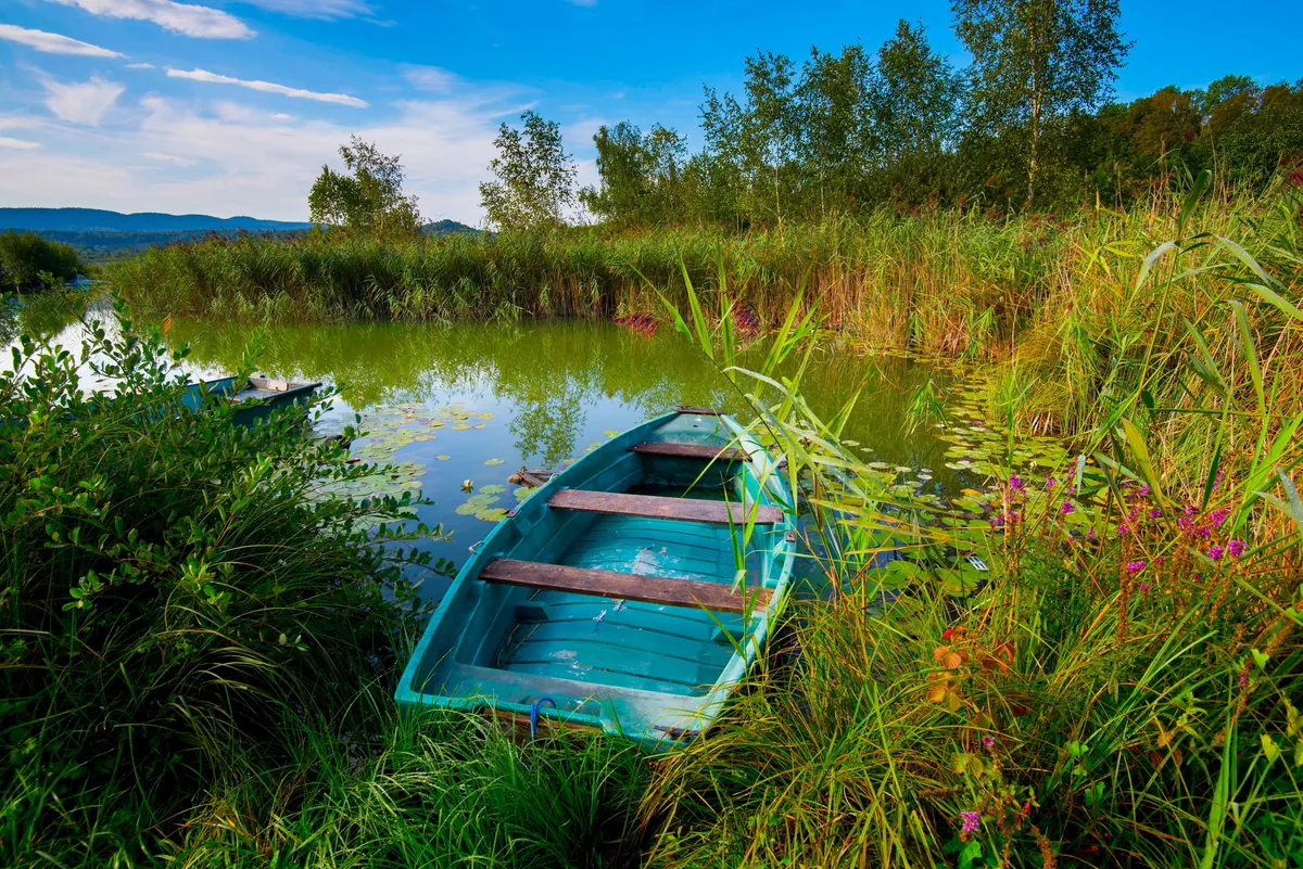 Les lacs de Clairvaux