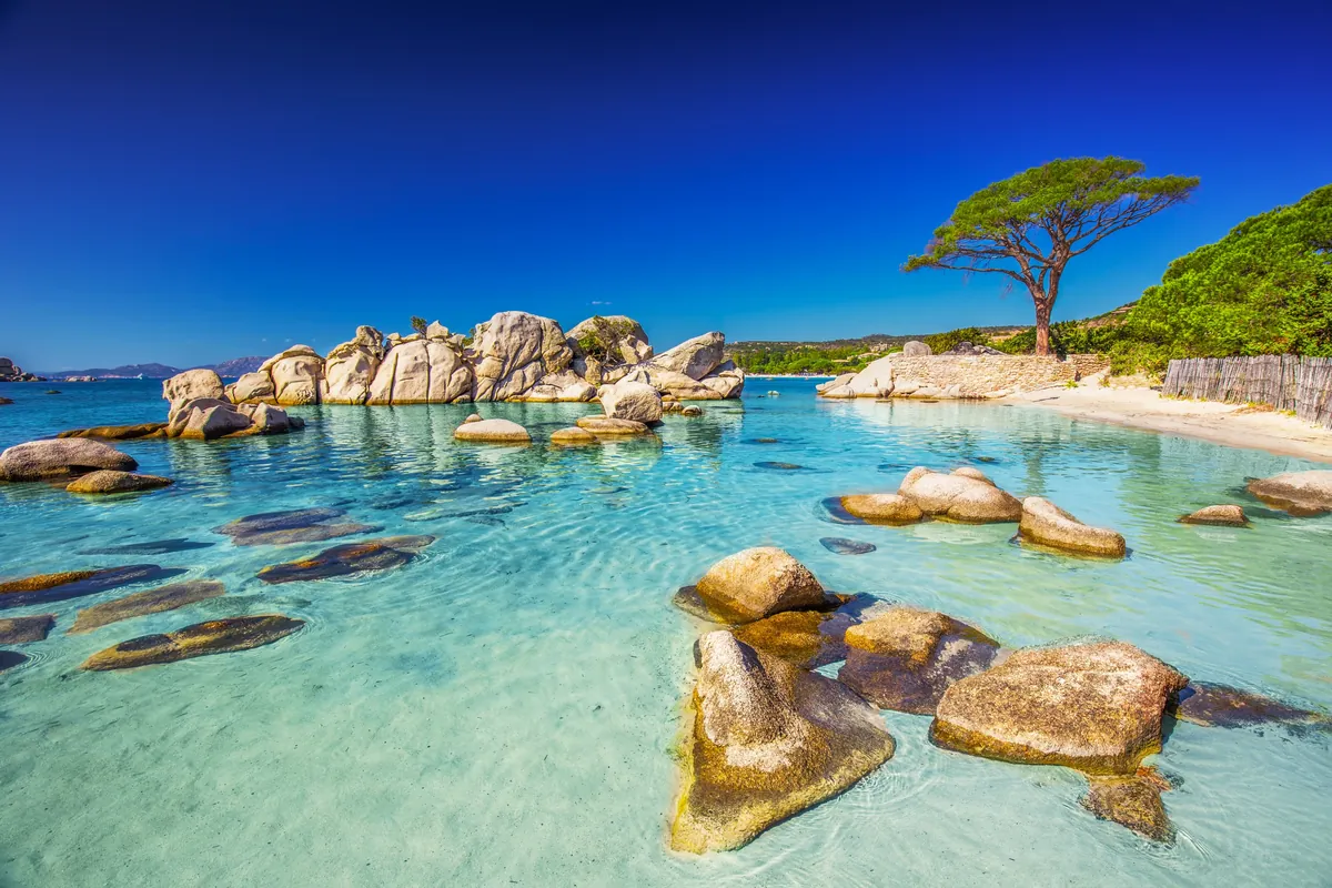 Corse