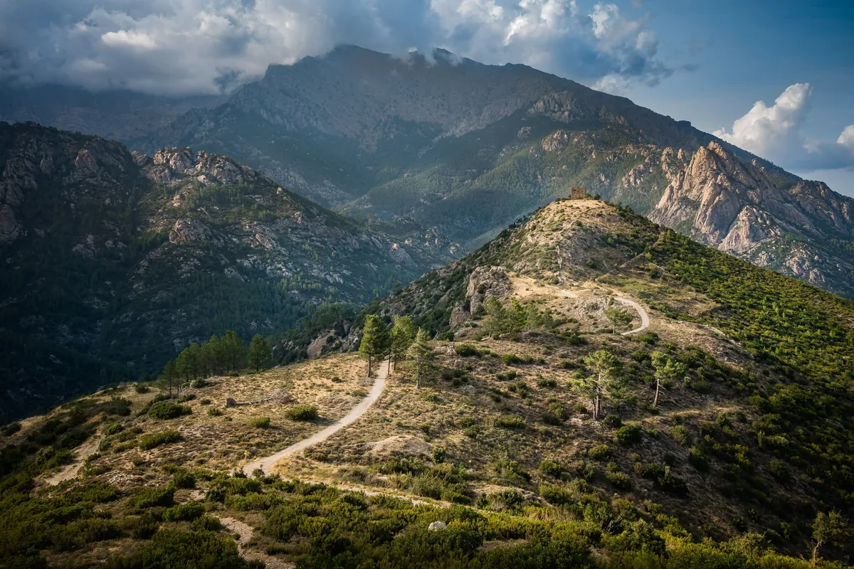 Forêt de Vizzanova