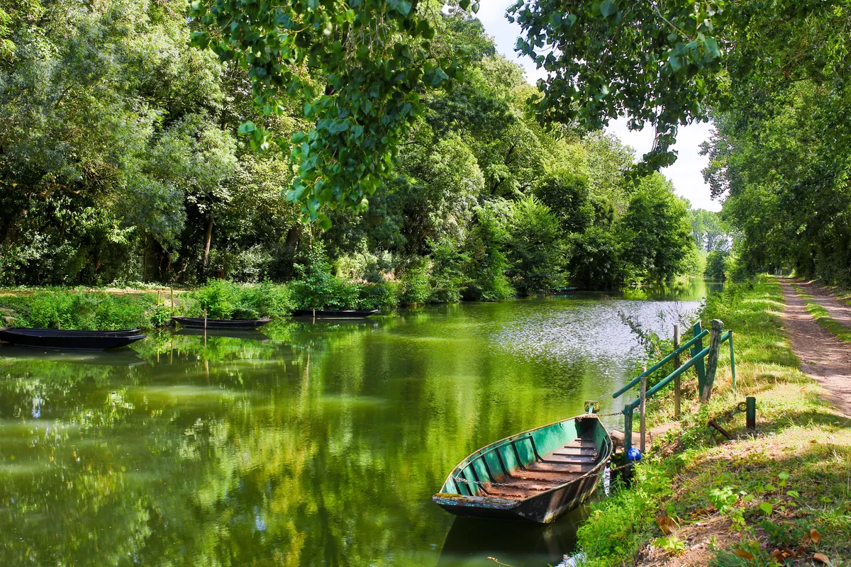 la Venise verte