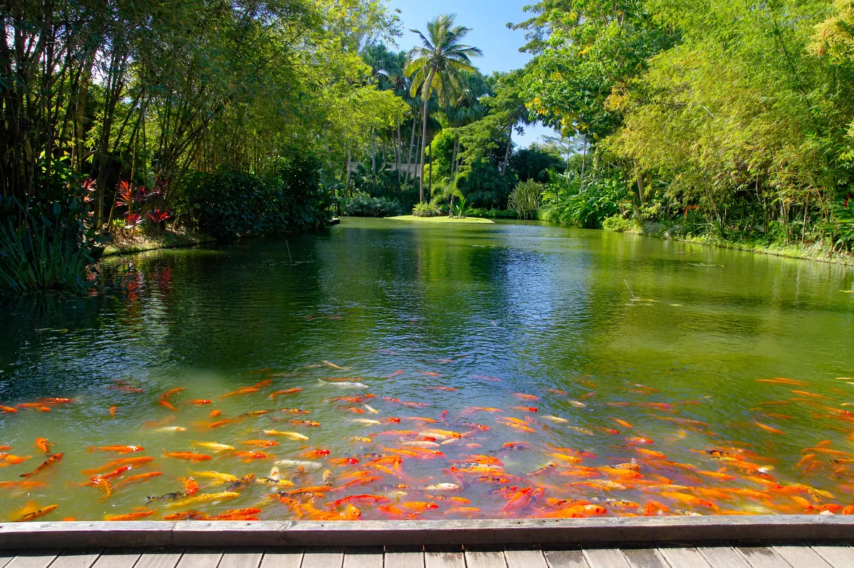 Jardin Botanique de Deshaies