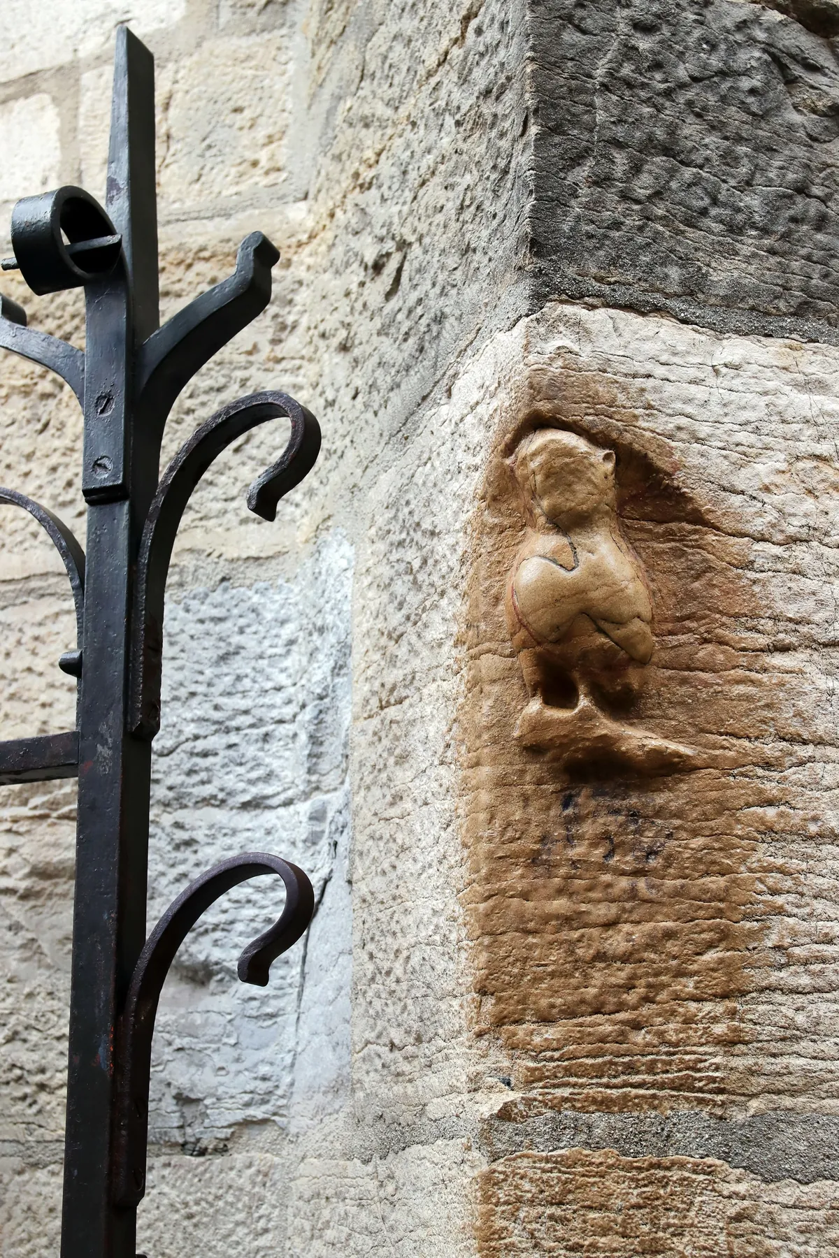 la chouette de Notre-Dame