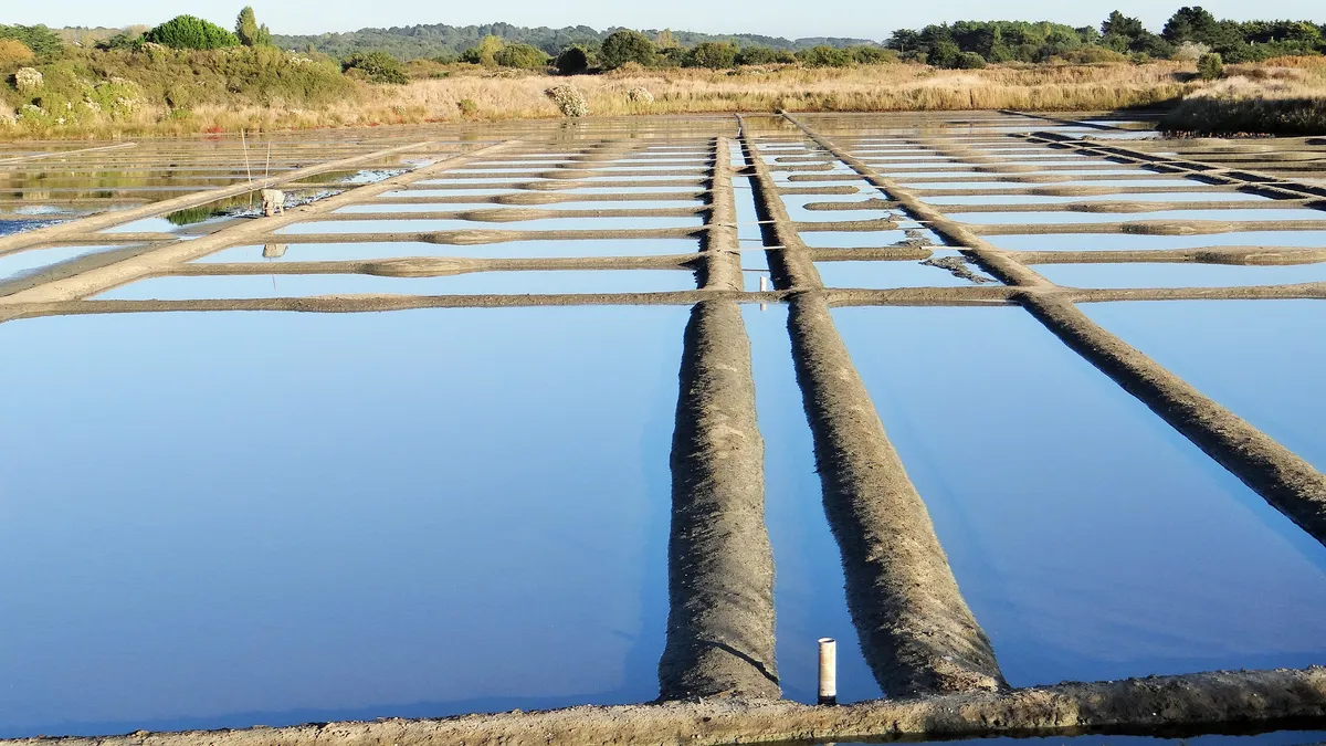 Des œillets des marais salants de Guérande remplis d'eau, séparés par leurs talus d'argile, près de Terre de Sel