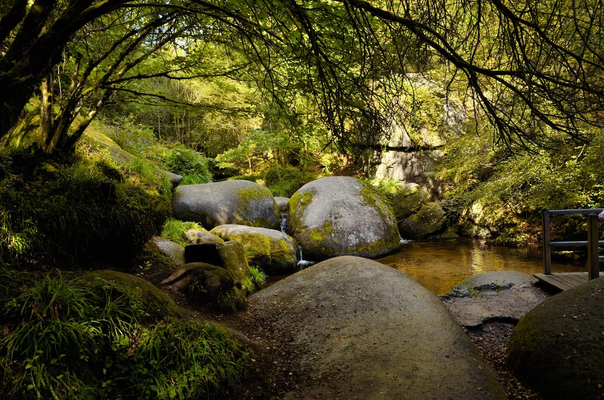 La forêt de Huelgoat