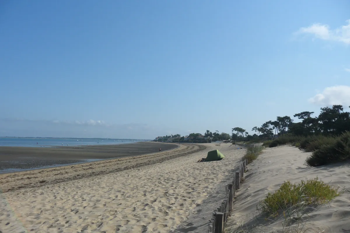 La plage de Ronce-les-Bains, ses dunes et ses pins, sous un ciel bleu traversé de quelques nuages