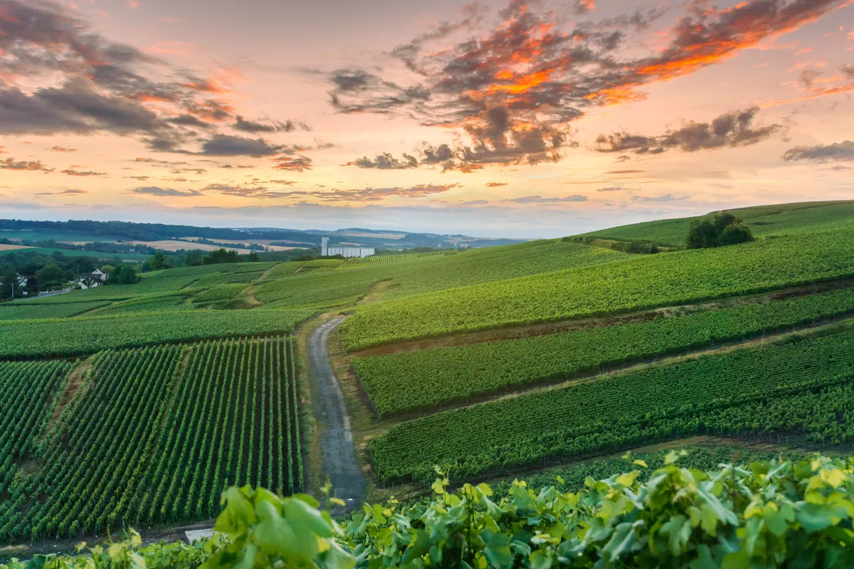 Route des Vins du Languedoc-Rousillon