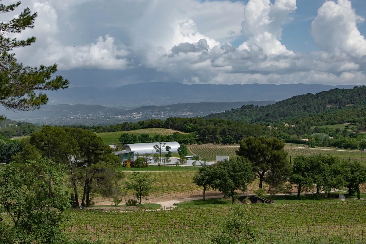 Les vignes du Château La Coste entre les pins et les collines, le chai au toit argenté au second plan
