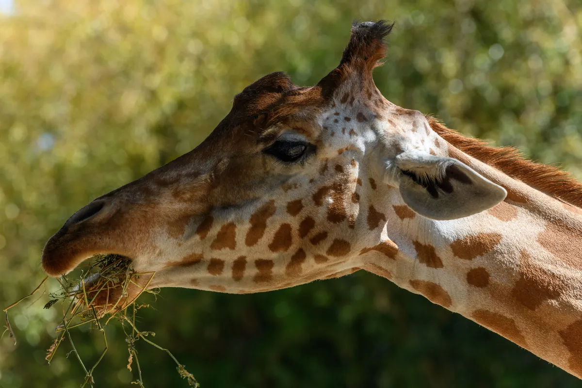 le Zoo des sables d’olonnes