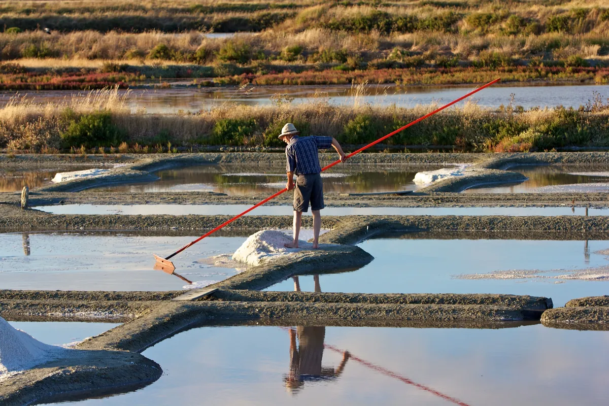 les marais salants