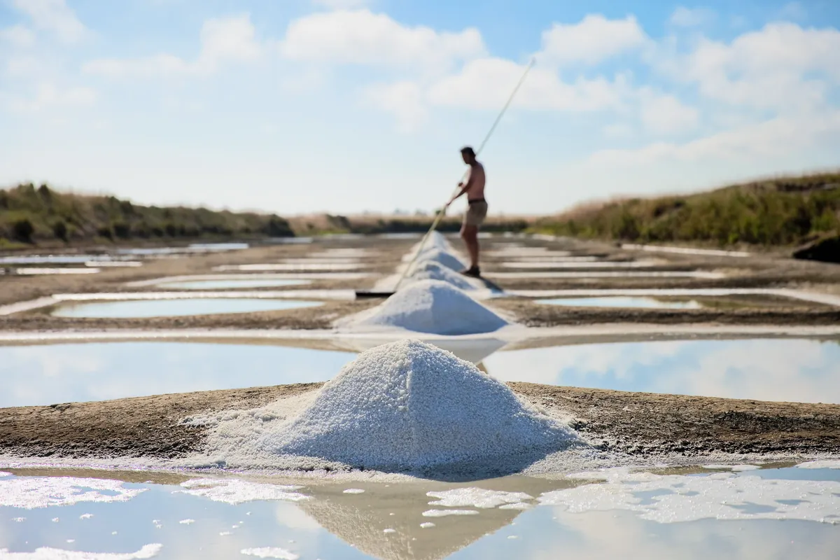 Marais Salants