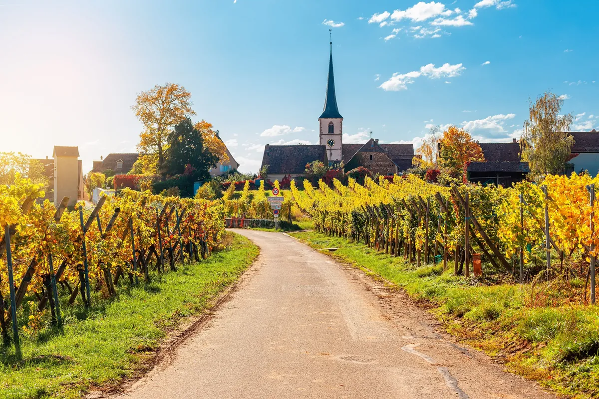 Le village de Mittelbergheim