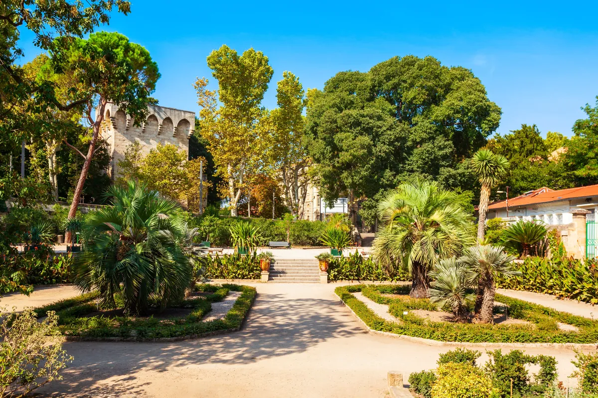 le Jardin des Plantes