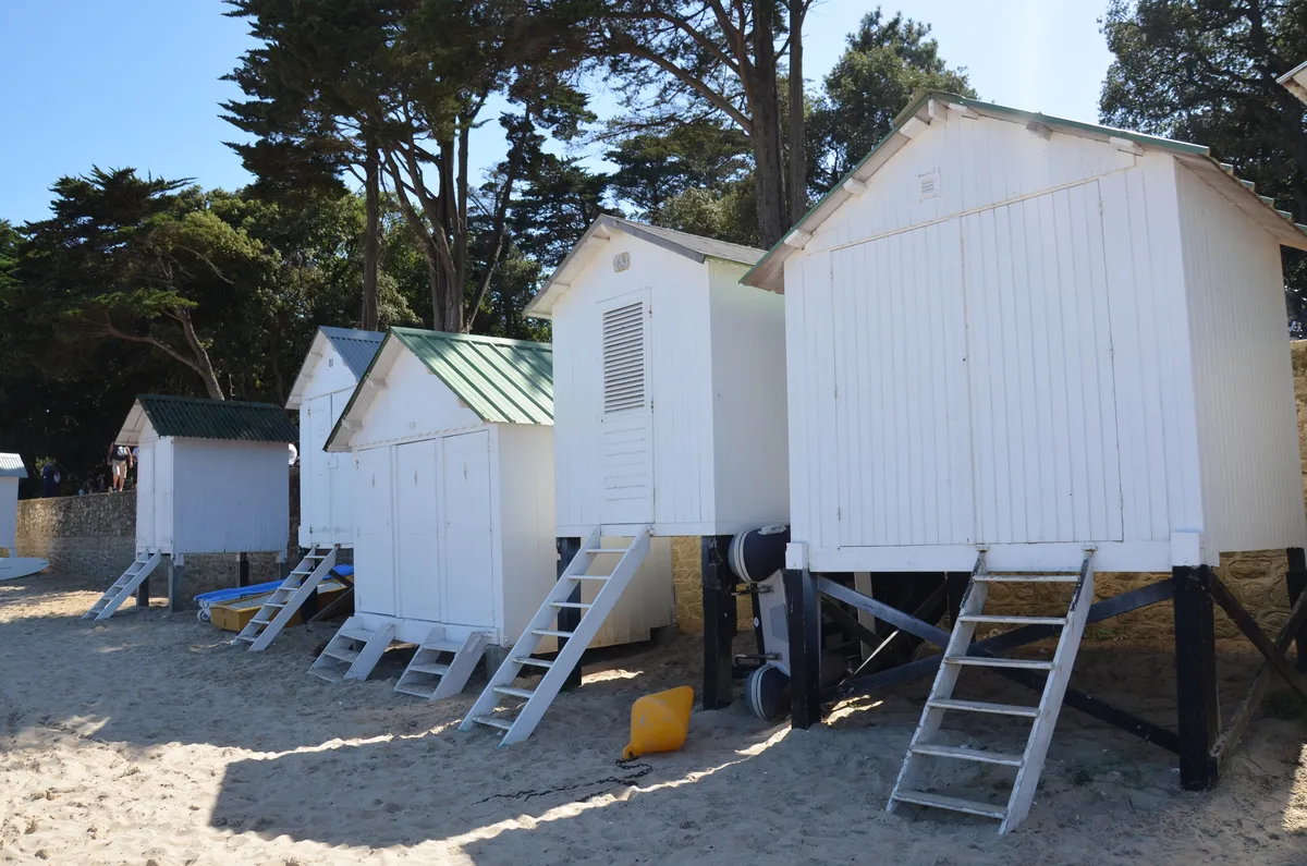 Des cabines de plage blanches sur pilotis, sous les pins, plage des Dames