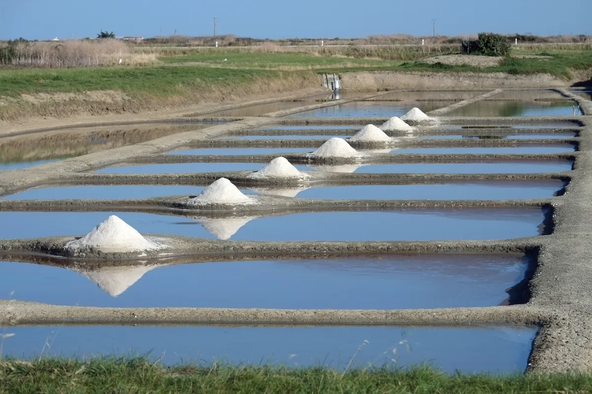 Des œillets de marais salant en eau, avec des tas de sel