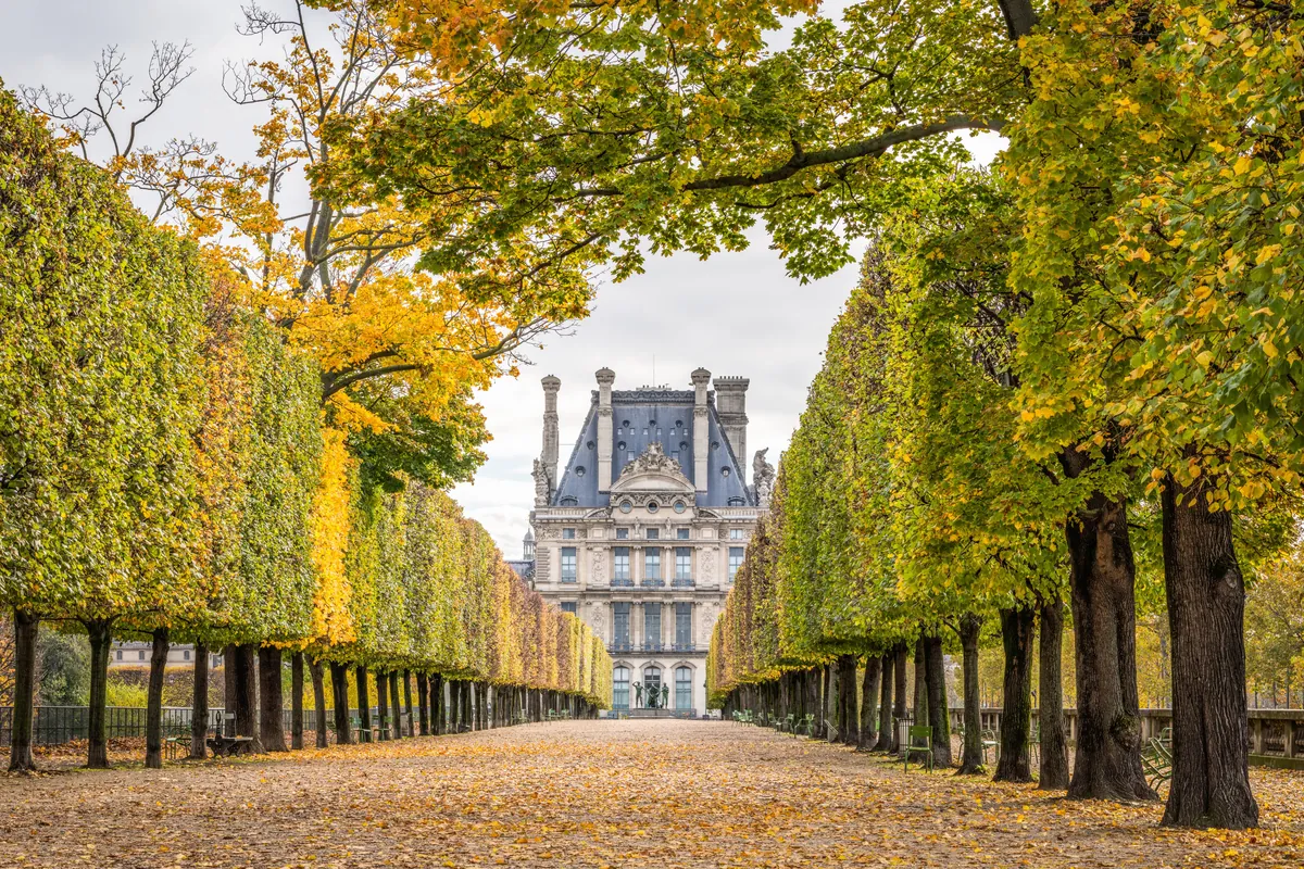 Musée du Louvre et Jardin des Tuileries