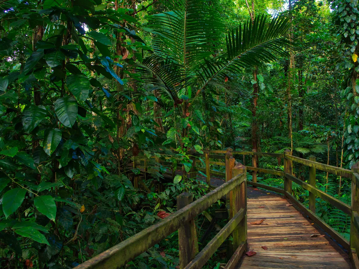 Parc National de la Guadeloupe 