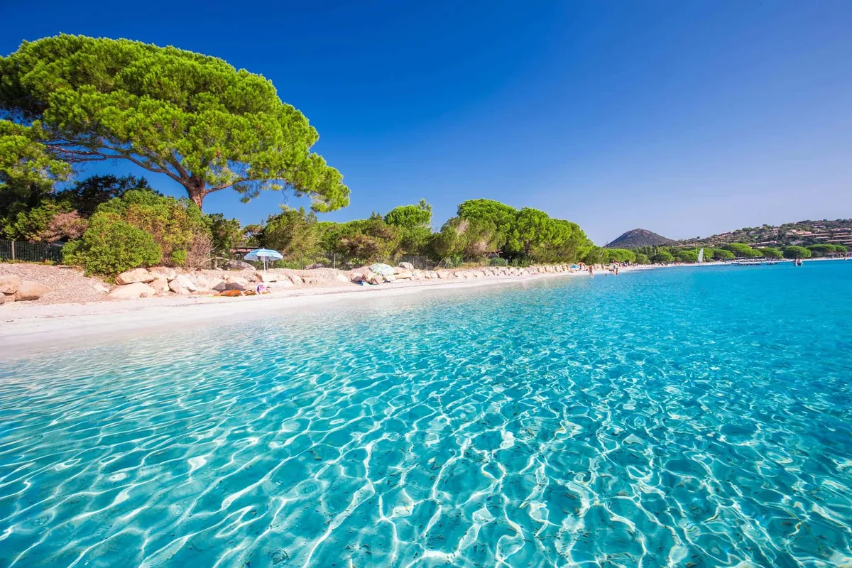 plage palombaggia