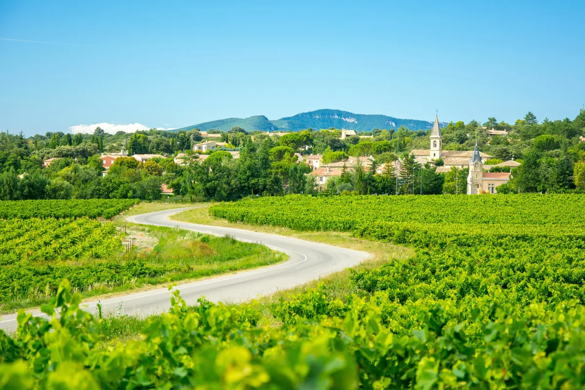 Route des Vins de Provence