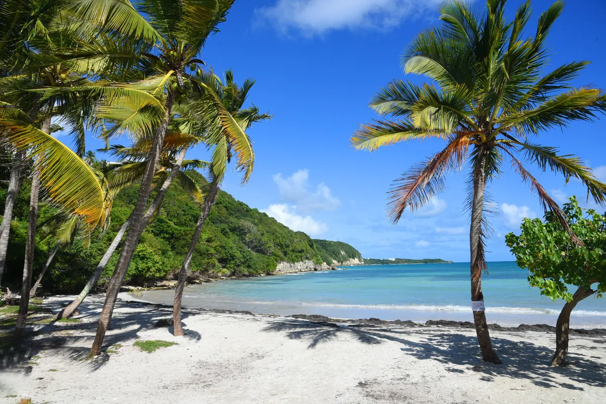 Les plages de Saint-Anne 