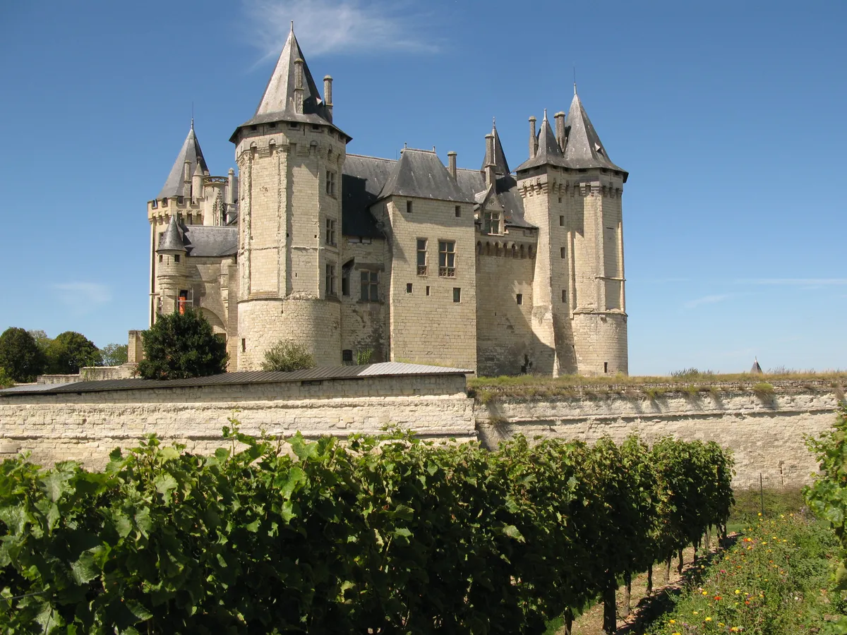 Le château de Saumur et ses tours à toits coniques, derrière une rangée de vignes