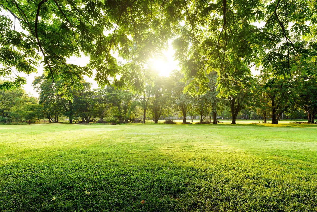 Parc Honoré de Balzac