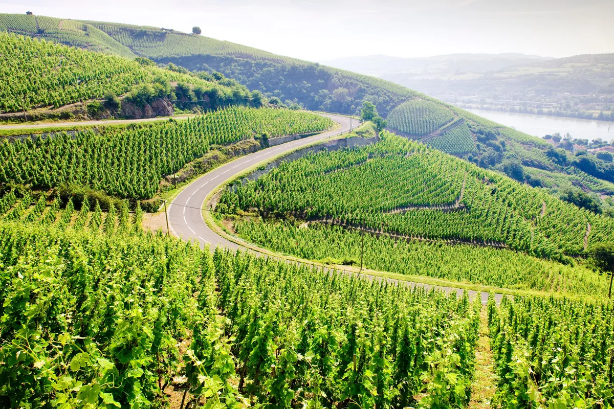 Route des Vins de la Vallée du Rhône